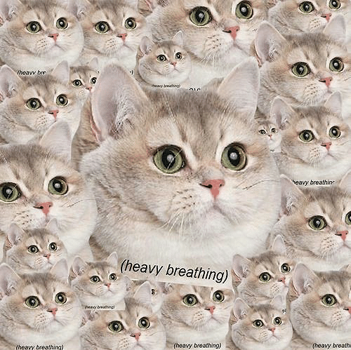 7qN1LUYW.png